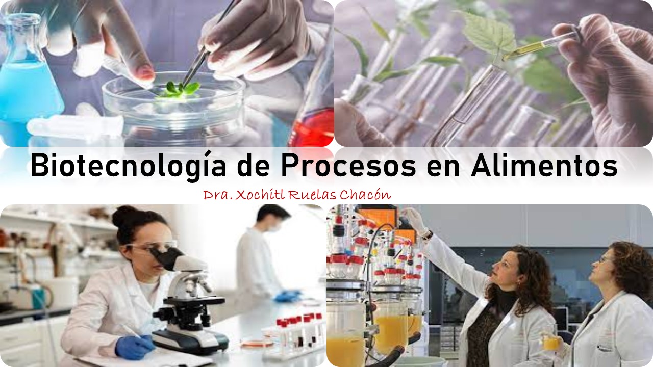Biotecnologia de Procesos en Alimentos